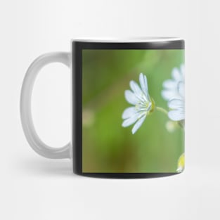 Field Chickweed Mug